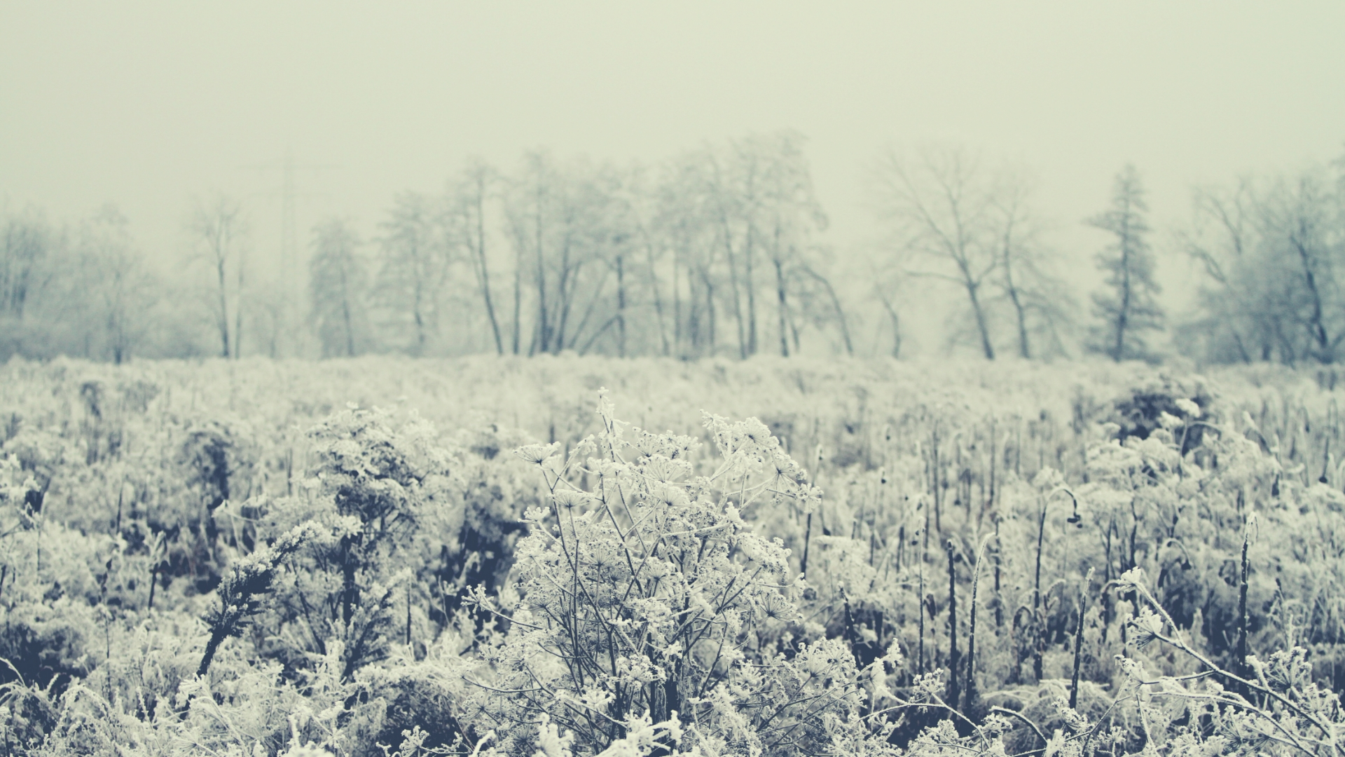 CrossWay Community Church Bristol and Kenosha WI